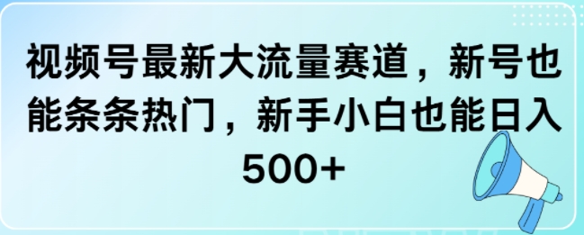 视频号最新大流量赛道，新号也能条条热门，新手小白也能日入5张-创途项目网