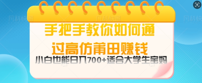 手把手教你如何通过莆田鞋挣钱，小白也能日几张，适会大学生宝妈-创途项目网