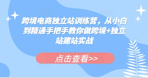 跨境电商独立站训练营，从小白到精通手把手教你做跨境+独立站建站实战-创途项目网