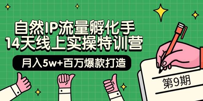 自然IP流量孵化手 14天线上实操特训营【第9期】月入5w+百万爆款打造 (74节)-创途项目网