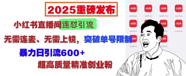 2025重磅发布：小红书直播间连怼引流，无需连麦、无需上镜，突破单号限制，暴力日引流600+-创途项目网