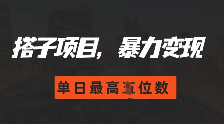 2024搭子玩法，0门槛，暴力变现，单日最高破四位数【揭秘】-创途项目网