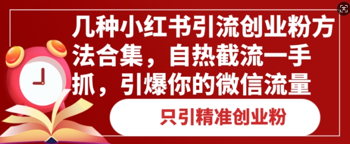 几种小红书引流创业粉方法合集，自热截流一手抓，引爆你的微信流量-创途项目网