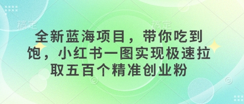 全新蓝海项目，带你吃到饱，小红书一图实现极速拉取五百个精准创业粉-创途项目网