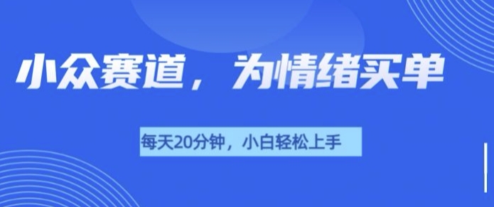 小众赛道，我的治愈系电子抱枕，让用户为情绪买单-创途项目网