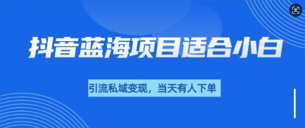 抖音蓝海小赛道私域变现项目，单价9.9单天变现100+，实操玩法分享给你-创途项目网