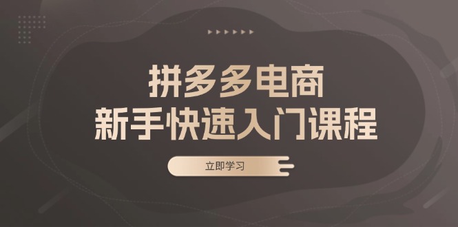 （13289期）拼多多电商新手快速入门课程：涵盖基础、实战与选款，助力小白轻松上手-创途项目网