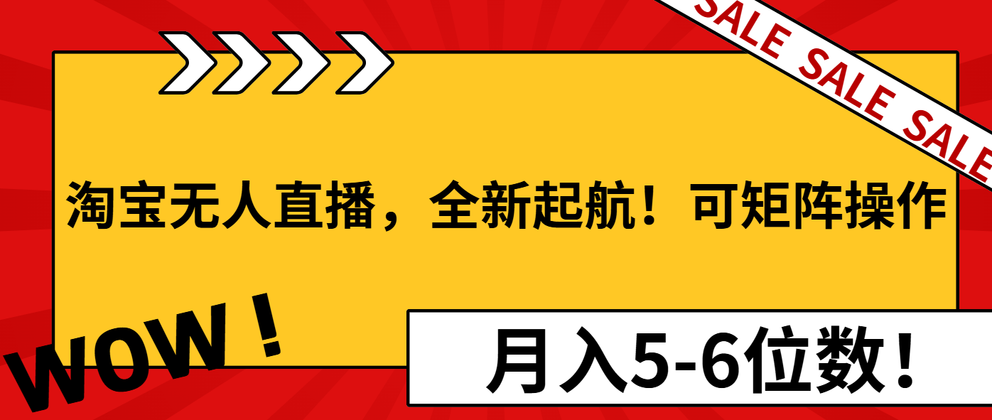 （13946期）淘宝无人直播，全新起航！可矩阵操作，月入5-6位数！-创途项目网