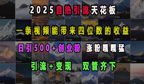 2025自热引流天花板，一条视频能带来四位数的收益，引流+变现双管齐下，日引500+创业粉，涨粉嘎嘎猛-创途项目网