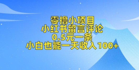 零撸小项目，小红书留言评论，0.5元一条，小白也能一天收入100+-创途项目网