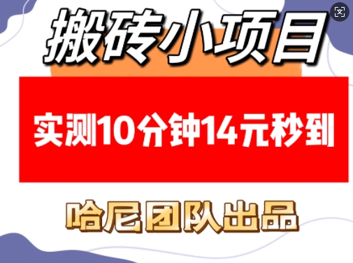 搬砖小项目，实测10分钟14元秒到，每天稳定几张(赠送必看稳定)-创途项目网