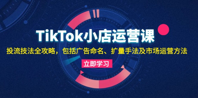 （13063期）TikTok小店运营课：投流技法全攻略，包括广告命名 扩量手法及市场运营方法-创途项目网