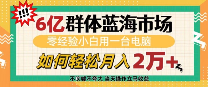 6亿群体蓝海市场，零经验小白用一台电脑，如何轻松月入过w【揭秘】-创途项目网