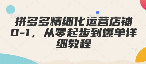 拼多多精细化运营店铺0-1，从零起步到爆单详细教程-创途项目网