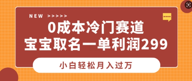 0成本冷门赛道，宝宝取名一单利润299，小白轻松月入过万-创途项目网