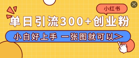 小红书单日引流300+创业粉，“简单粗暴”引流法，小白好上手，私信回不完-创途项目网