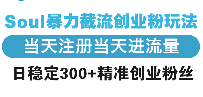 （13935期）Soul暴力截流创业粉玩法，当天注册当天进流量，日稳定300+精准创业粉丝-创途项目网