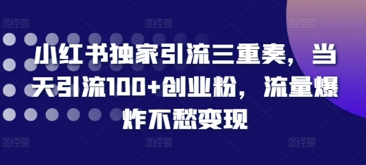 小红书独家引流三重奏，当天引流100+创业粉，流量爆炸不愁变现【揭秘】-创途项目网