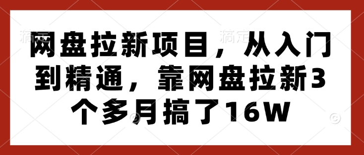 网盘拉新项目，从入门到精通，靠网盘拉新3个多月搞了16W-创途项目网